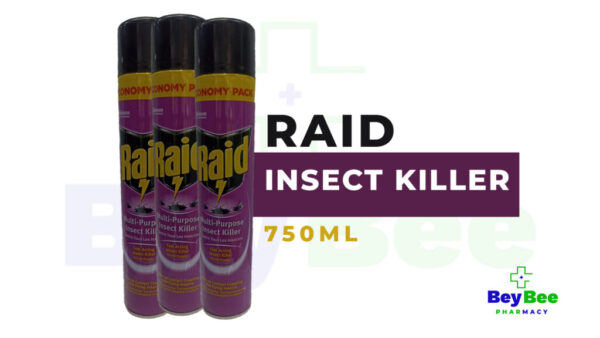 Raid Multi-Purpose Insect Killer 750mL